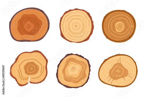 Cartoon tree cuts. Wooden stumps with natural texture top views. Trunk with rings. Lumber industry. Forest wood materials. Round pine. Log timber sawing. Plank split. Garish vector set
