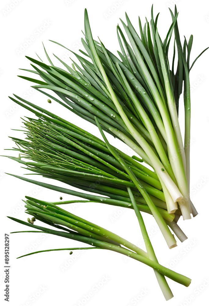 Fototapeta premium delicious Chives isolated on white background