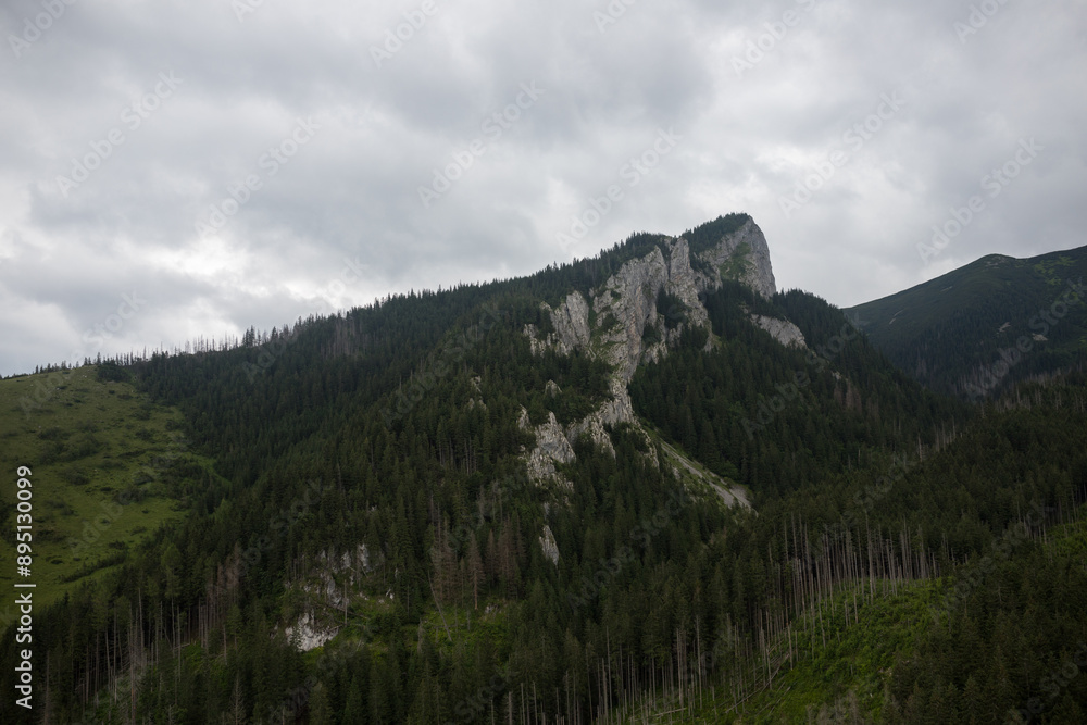 Rocky mountain slopes. Dense forest in the mountains. Cloudy weather in the mountains. White thick clouds over the top of the mountain. Rocky mountain slopes. Dense forest in the mountains. Cloudy weather in the mountains. White thick clouds over the top of the mountain.