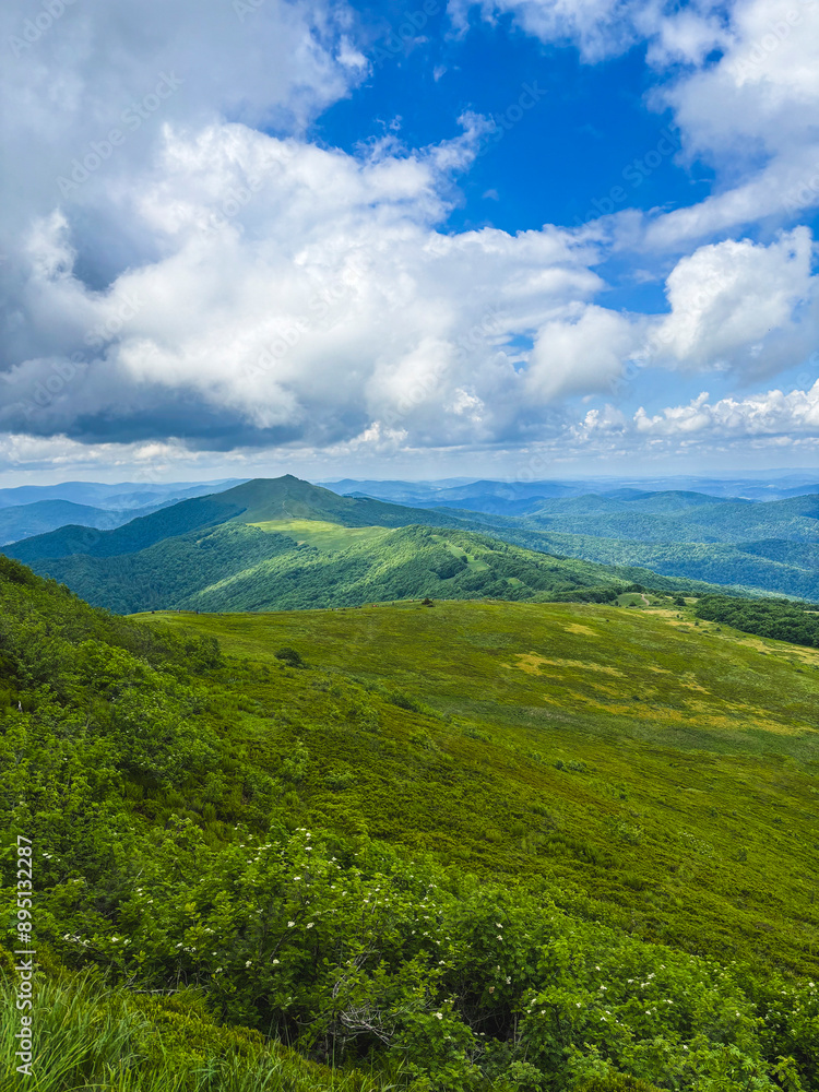 Naklejka premium Beautiful landscape of summer mountains