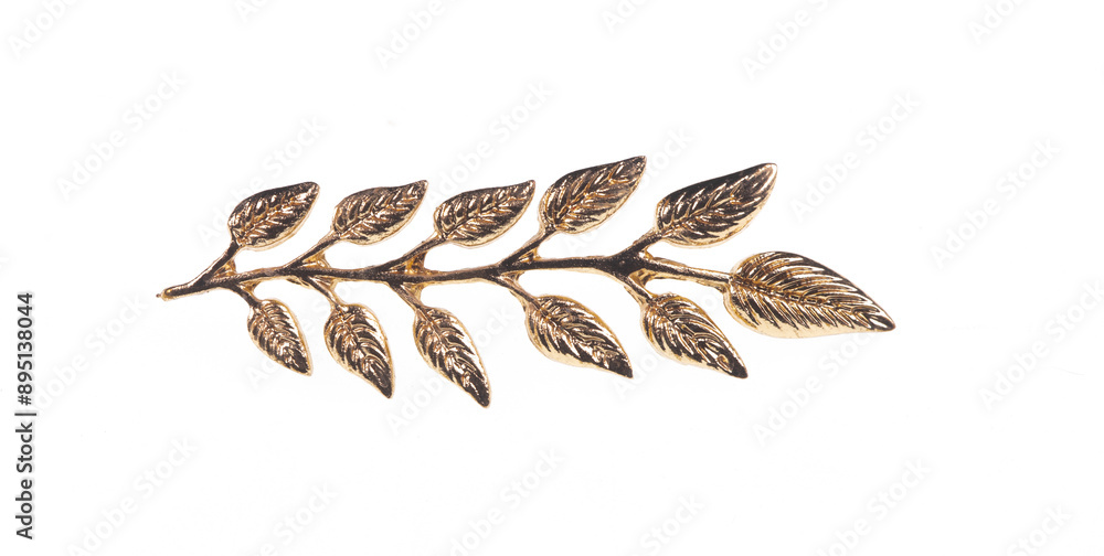 Fototapeta premium jewelry gold brooch leaves isolated on white background