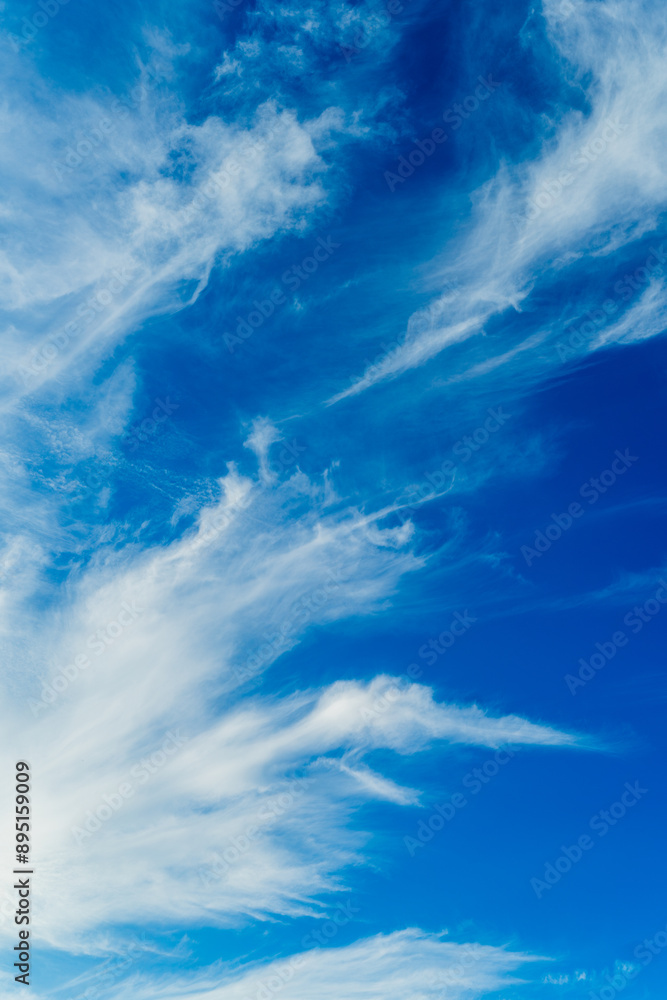Vertical shot of a blue cloudy sky at daytime - perfect for wallpapers and backgrounds Vertical shot of a blue cloudy sky at daytime - perfect for wallpapers and backgrounds