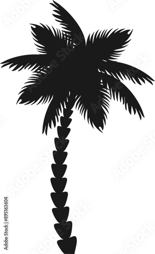Detailed Palm Tree, Graphic Illustration Vector 