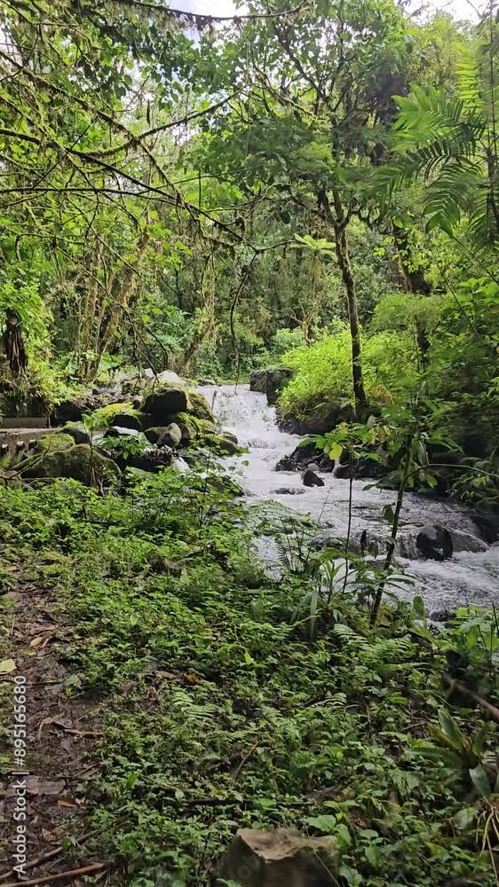 Cascada en monta{as de Chiriqui Cascada en monta{as de Chiriqui