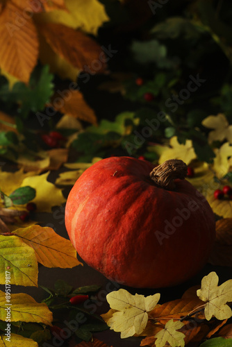 A pumpkin and bright autumn leaves still life	