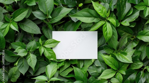 Soon on white card amidst green leaves