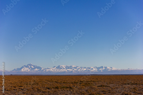 Wide Panoramic of Patagonian Steppe with Snow-capped Andes