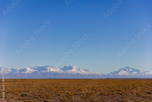 Wide Panoramic of Patagonian Steppe with Snow-capped Andes