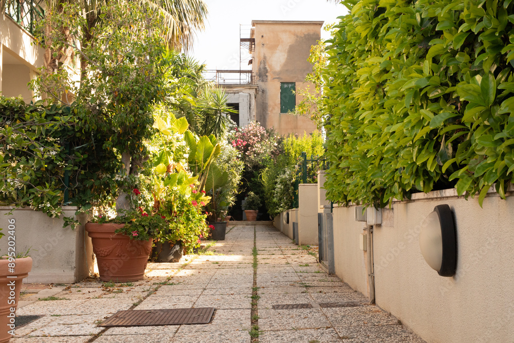 Naklejka premium A narrow walkway lined with potted plants and a tall wall