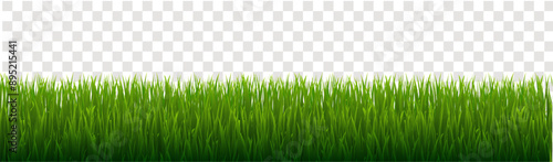 green grass background