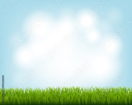 Green Grass Border And Blue Sky