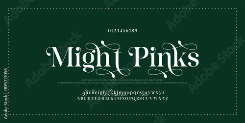 Luxury sans serif alphabet letters font and number. Classic Lettering Minimal Fashion Designs. Typography decorative wedding fonts and logo. vector illustration.