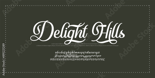 Signature Font Calligraphy Logotype Script Brush Font Type Font lettering handwritten