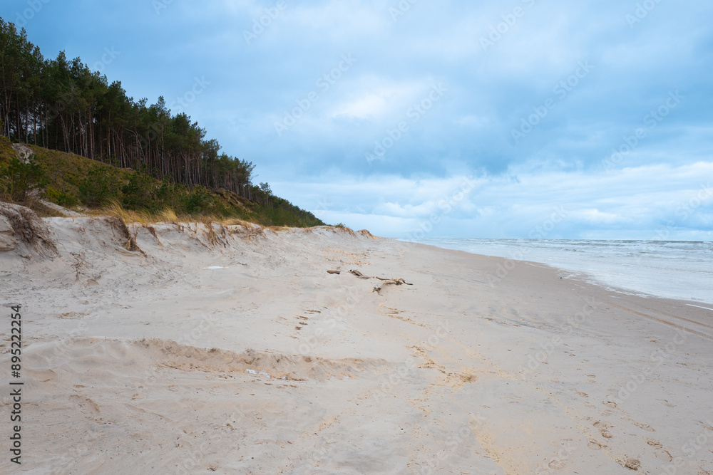 Φωτογραφία Beautiful dunesscenery of the Slowinski National Park by the Baltic Sea, Leba