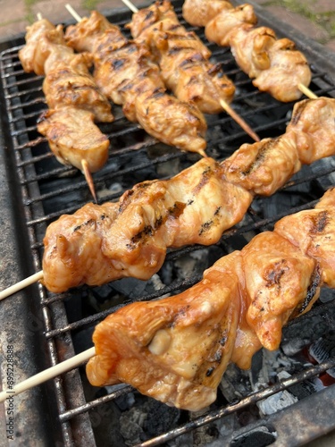 chicken skewers on the grill