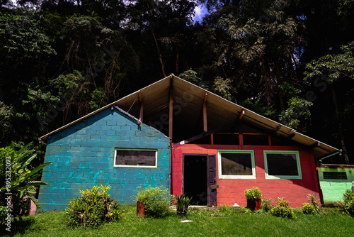 Curious rustic house with bright blue and red walls surrounded by tall dark-green trees.