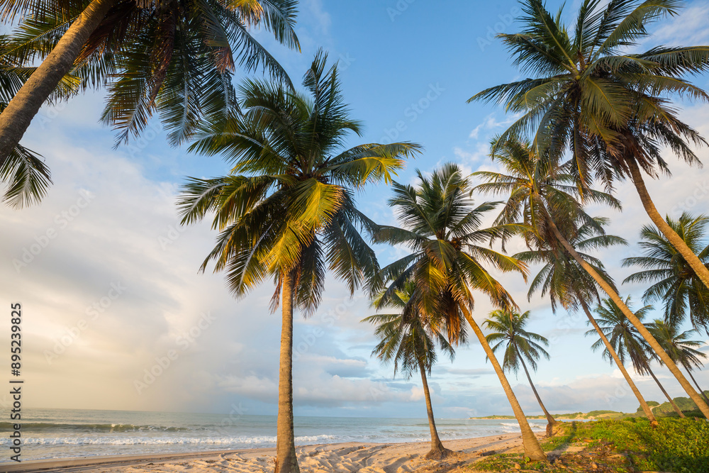 Obraz premium Tropical beach