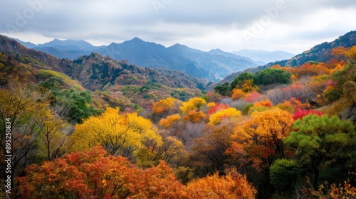 A beautiful autumn landscape with trees in full bloom. The colors of the leaves are vibrant and the sky is cloudy. The scene is peaceful and serene