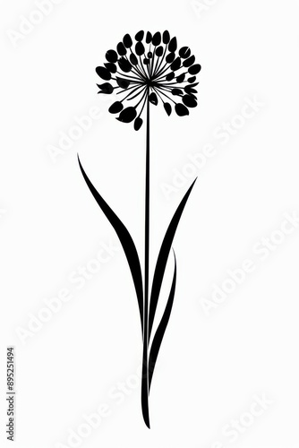 Wallpaper Mural Black and white flat vector art of a chive flower, svg style, isolated on white background, simple vector art design Torontodigital.ca