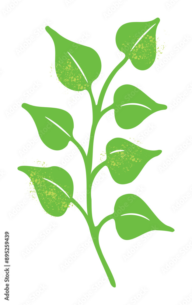 Obraz premium Light-green twig with heart-shaped leaves, herb
