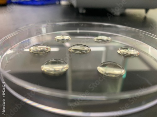 Canvas Print Water droplets on the petri dish