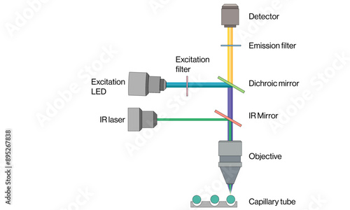 Microscale Thermophoresis Principle and Instrumentation Vector Illustration on White Background, Thermophoretic Technique, Science Graphic.