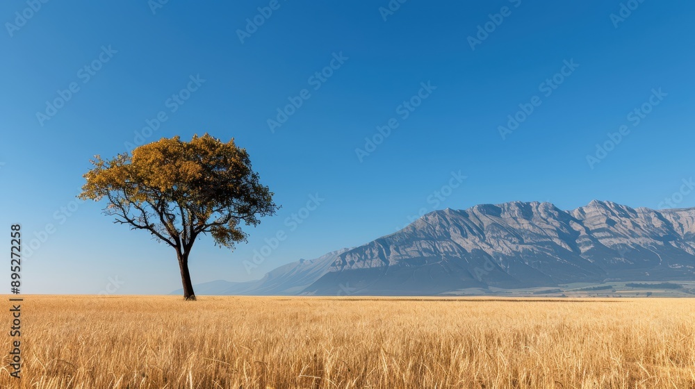 Fototapeta premium A lone tree stands tall in a vast golden field with a mountain range in the background under a clear blue sky, symbolizing solitude and resilience.