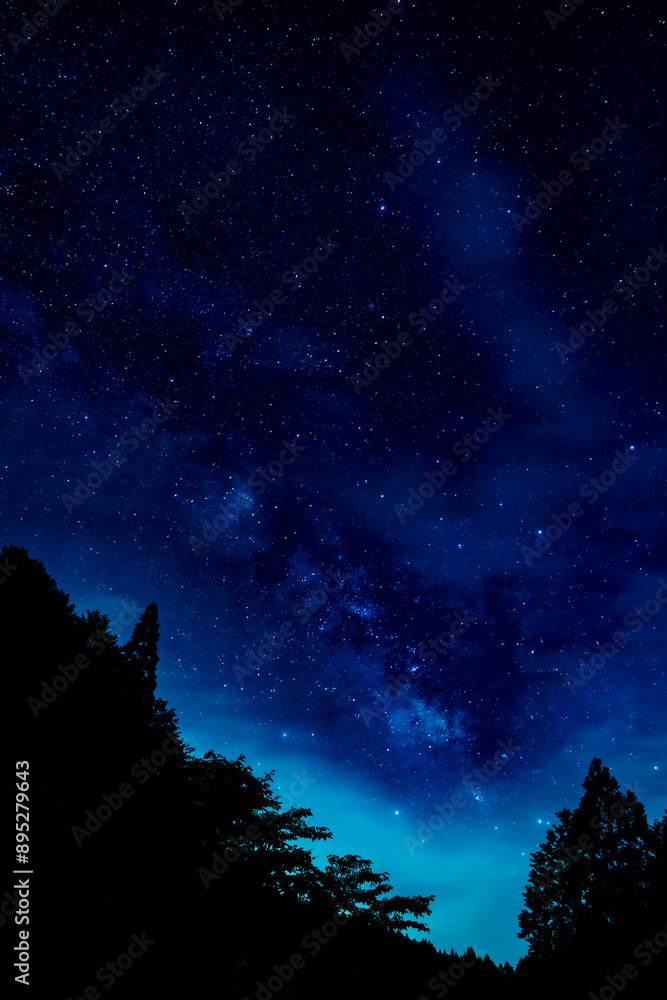 Naklejka premium 森の中から見える星空