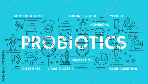 Probiotics and healthy intestine banner for stomach digestion health, vector line icons. Probiotics and yogurt food products for stomach gut, immune system and intestine digestion or digestive health