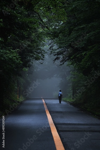 A fantastic scene on a foggy morning. Mysterious background material.