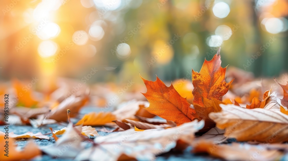 A beautifully captured golden autumn leaf stands out amid a bed of scattered fallen leaves, with the sun's golden rays softly illuminating the natural surroundings. A beautifully captured golden autumn leaf stands out amid a bed of scattered fallen leaves, with the sun's golden rays softly illuminating the natural surroundings.