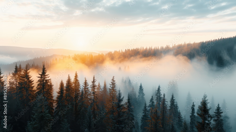 This image captures a serene sunrise over a misty forest, with the sunlight piercing through the fog and tall trees, creating a tranquil and picturesque scene. This image captures a serene sunrise over a misty forest, with the sunlight piercing through the fog and tall trees, creating a tranquil and picturesque scene.