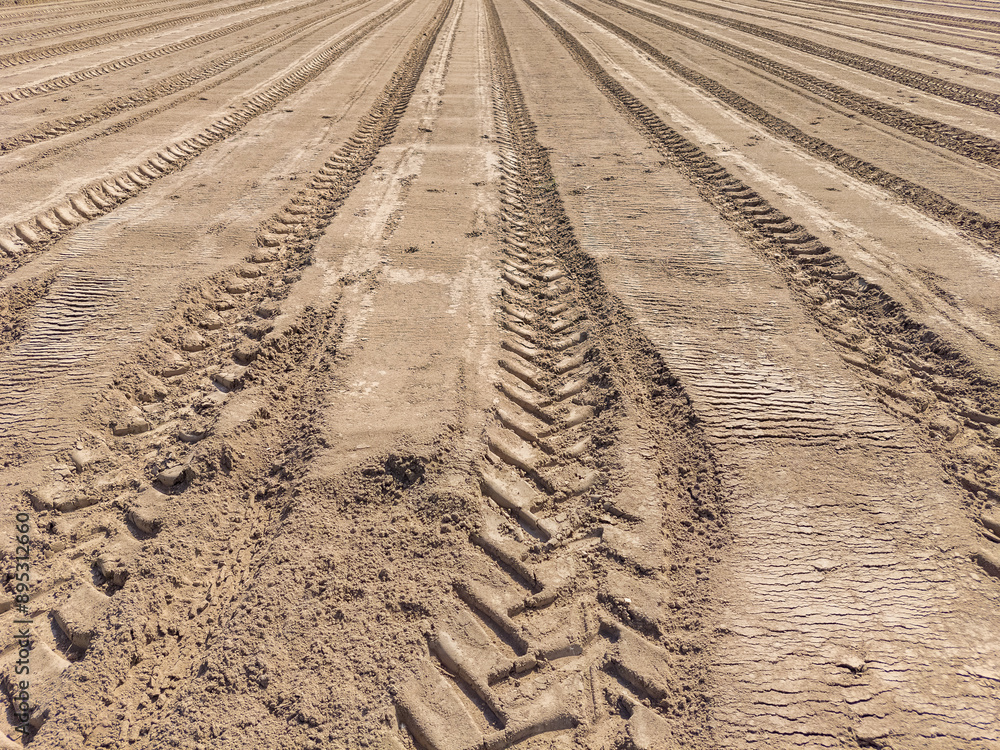 Tractor tyre tracks in an agricultural field. Tractor tyre tracks in an agricultural field.