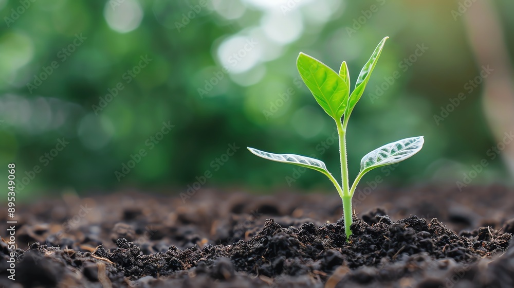 Fototapeta premium Increase in renewable energy capacity with new projects, increase, green growth