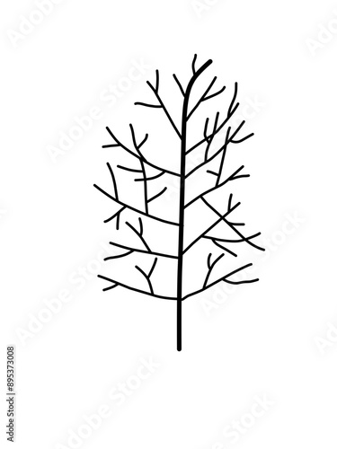 Outline monstera leaf. Hand drawn sketch black and white tropical plants vector illustration. Palm leaf line art. Engraved style.