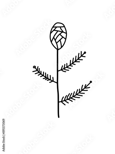 Outline monstera leaf. Hand drawn sketch black and white tropical plants vector illustration. Palm leaf line art. Engraved style.