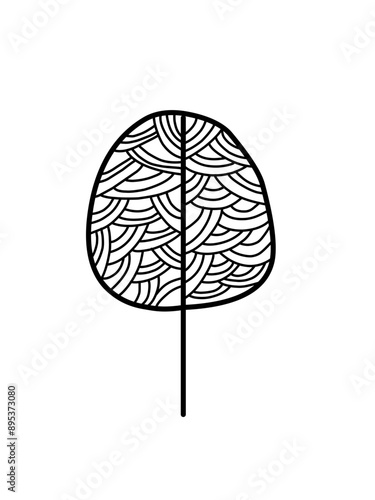 Outline monstera leaf. Hand drawn sketch black and white tropical plants vector illustration. Palm leaf line art. Engraved style.