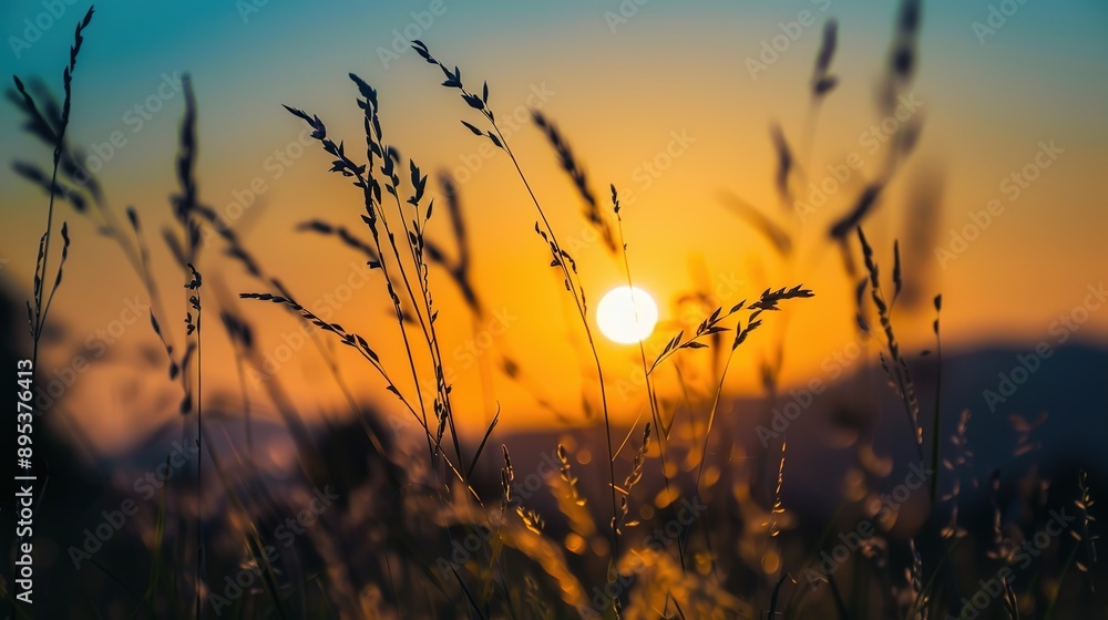 Sunset Over Grasslands Sunset Over Grasslands