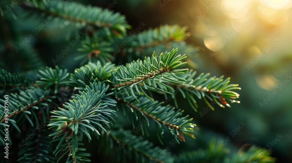 A green tree branch with leaves that are pointed and have a shiny appearance A green tree branch with leaves that are pointed and have a shiny appearance