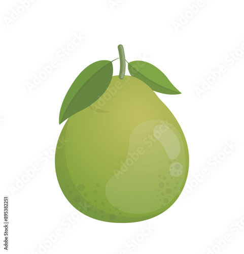 Vector illustration icon or logo or close-up of pomelo with leaves, fruit for Chinese Mid-Autumn Festival