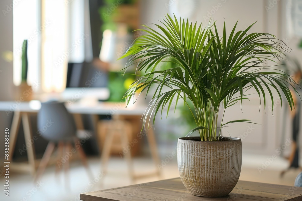 Fototapeta premium Areca Palm in a Modern Office with Light Decor
