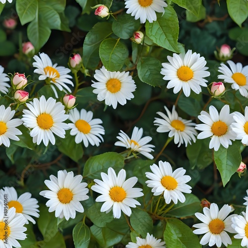 Seamless Daisy Field Pattern