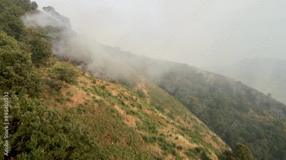 Forest on the side of the mountain burning from wildfire emitting smoke and ash in the air Forest on the side of the mountain burning from wildfire emitting smoke and ash in the air
