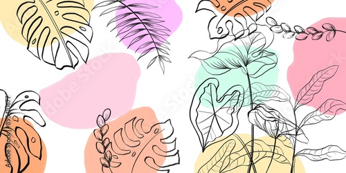 seamless pattern with feathers