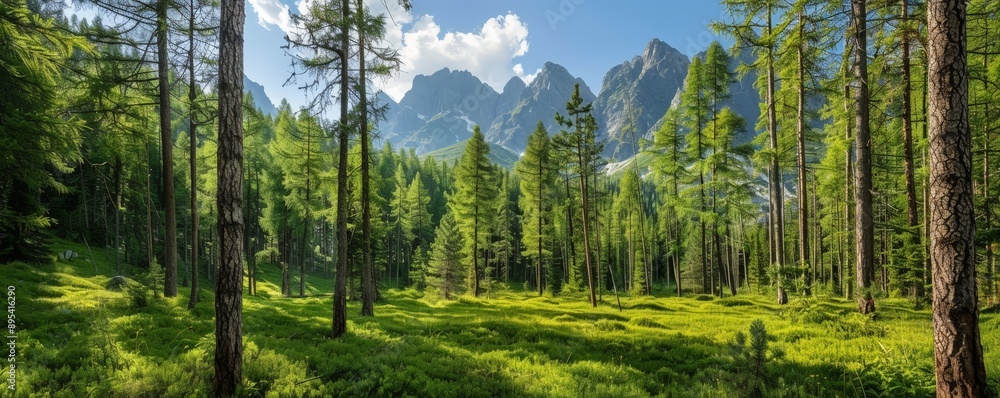 Ancient woods with rugged peaks rising in the background, mysterious and serene, Environment, Timeless Wilderness, copy space for text, focus cover all object, deep dept of filed