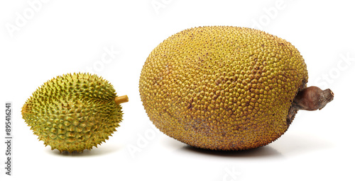 Durian fruit and  jackfruit on white background  photo