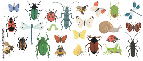 vector drawing set of insects, beetles, butterflies, dragonflies, bee, caterpillar and grasshopper isolated at white background, hand drawn illustration