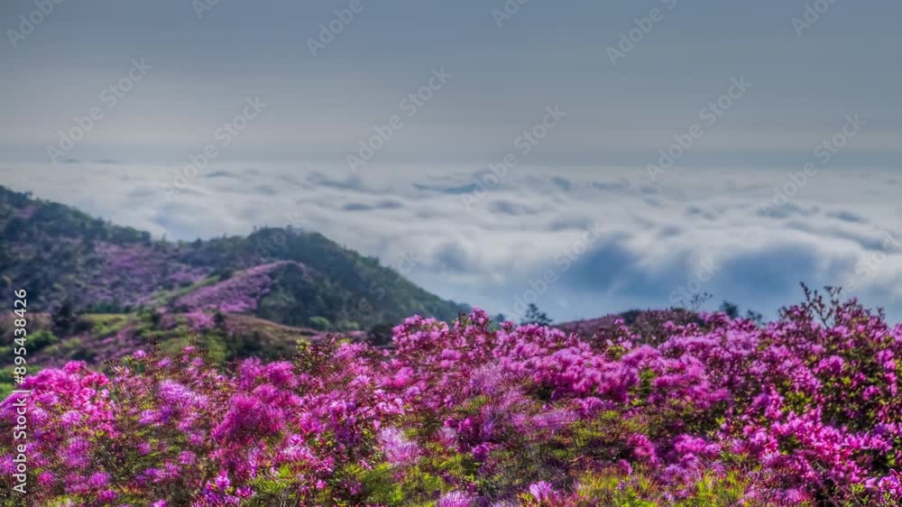 Beautiful natural background in Korea Beautiful natural background in Korea