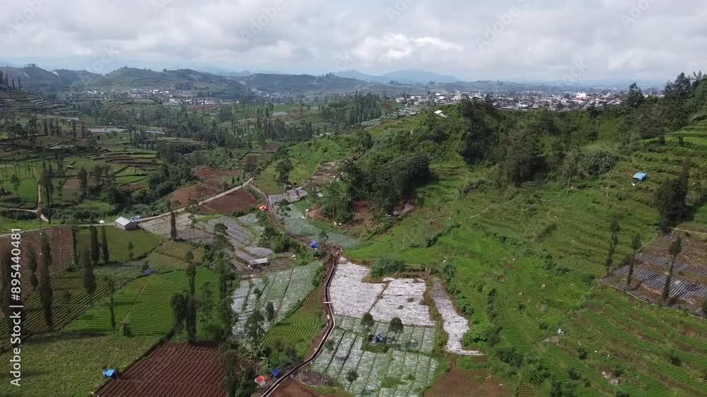 Aerial view of lush green agricultural fields and hilly terrain