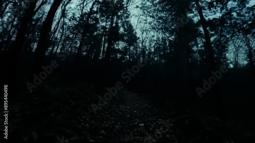 Grainy Film of POV Found Footage in a Creepy Forest at Night